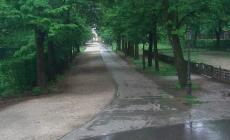 Troppo vento, di nuovo chiusi Parco Ducale e Cittadella