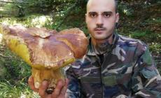 Pratospilla, un altro porcino gigante