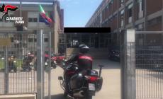 Raid e razzie nelle scuole: il video dei baby ladri in azione