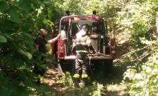 Cerca di spegnere l'incendio nel bosco: ustionato