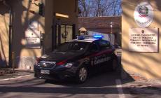 Ruba un cellulare, inseguito da un giovane e bloccato da un autista Tep - Video