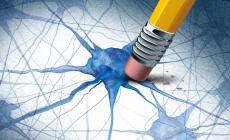 I traumi alla testa aprono la porta ad Alzheimer e Parkinson