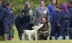 Kate come Berlusconi:  dà il latte a un agnello con il biberon