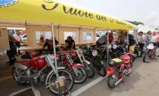 Asimotoshow: grande successo nonostante la pioggia
