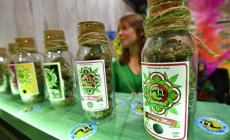 La Cassazione decreta la fine della vendita della Cannabis light