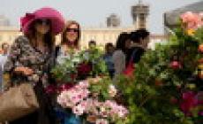 Alla Reggia di Colorno torna “Nel segno del giglio”: fiori, animali e... bio