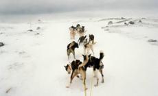 Alessandro Iovino in finale a &laquo;Reporter Day&raquo;  