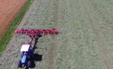 Agroalimentare, boom in regione con Parma in vetta