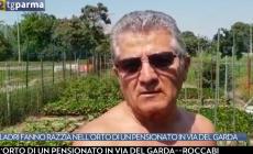 Ladri fanno razzia nell'orto di un pensionato in via del Garda