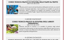 Lezioni di giardinaggio: segreti per avere un giardino perfetto!
