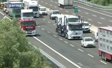 Viabilità, giornata drammatica dall'A1 alla via Emilia - Il riepilogo