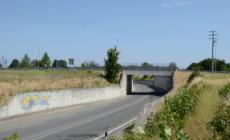 Ciclista cade in tangenziale: ricoverato al pronto soccorso