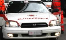 Sciame di calabroni durante una gara podistica, in sette all'ospedale