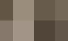 Noel ultimo nato del 2016, il 2017 debutta con Gabriele