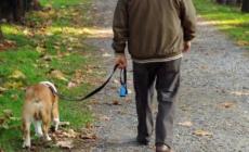 Anziano morto in casa da tempo, cane fa scempio del corpo