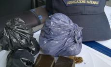 Ingente quantitativo di droga trovato nel parco Falcone e Borsellino