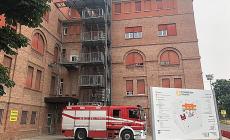 Sciame di api: intervengono i vigili del fuoco