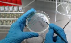 Un caso di tubercolosi alle elementari di Casalgrande