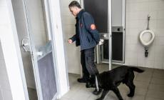 Droga nel bagno del Bodoni