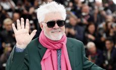 Pedro Almodóvar, Leone d'oro a Venezia: "Sarà la mia mascotte insieme ai gatti"