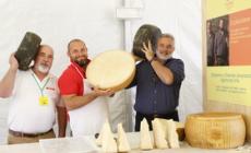 Alla scoperta del formaggio “Pioniere”