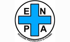 Animali: i candidati di Parma rispondono all'Enpa