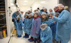 Bimbi, tutti a "scuola di cotto"