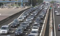 Tir si ribalta e perde il carico, mucche in autostrada sulla A4
