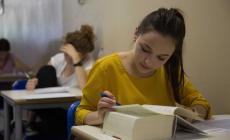 L'Accademia della Crusca alla Cassazione: "Via la schwa, gli asterischi e l'articolo davanti ai cognomi"
