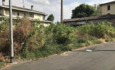 Sterpaglie, topi e sporcizia a Pilastrello