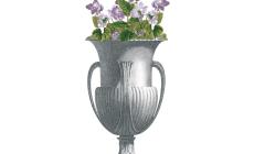 Visite guidate Il posto delle Viole