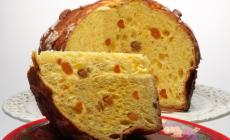 Al via la sfida per diventare "Re mondiale del panettone"