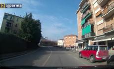 Evade dai domiciliari per raccogliere frutta su un albero ma cade: arrestato 31enne moldavo - Video