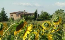 Agriturismi: la classificazione arriva con i girasoli