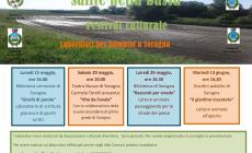 Festival culturale &ldquo;Salite nella Bassa&rdquo; 