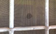 "C'è una fuga di gas": e spruzzano un odorizzante
