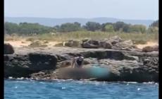 Monopoli, fanno sesso sugli scogli: il video spopola in rete -  Video
