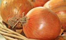 Cipolla dal primo al dolce all'ottava festa per il bulbo più celebre