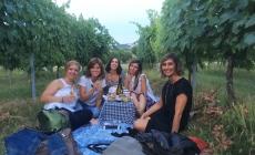 Picnic in vigna