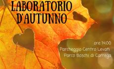 Boschi di Carrega: laboratorio d'Autunno 