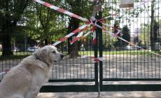 Piazzale Lubiana, trovate altre quattro polpette sospette: chiusa l'area cani