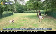 Approvato il disciplinare relativo all'utilizzo delle aree cani: norme più rigide