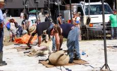 Appenninfest, montagna in festa fra cultura, arte  e solidarietà