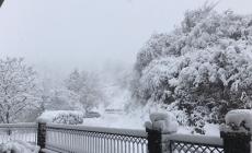 Pazzo autunno, ritorna la neve: 30 cm a Schia, 20 in Valparma e Valtaro Foto - Video