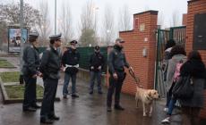 Controlli intorno alle scuole:  i cani trovano droga nei cespugli del parco Eridania