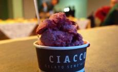 Weekend con Ciacco all'Agriturismo La Madonnina