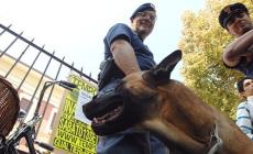 Cani antidroga al "Giordani": tutto regolare
