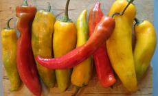 La ricetta green - Cupoletta di orzo ai peperoni