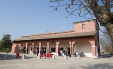 Cosmo e A Safe Shelter