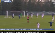 Parma, i nodi di Faggiano: numero 9, Gervinho e uscite